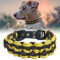 Ben&Bruno Hundehalsband | Breit & Verstellbar | 100% Handgefertigt | Robust, Sicher & Langlebig | Starkes Paracord Halsband | Halsbänder für Kleine, Mittelgroße & Große Hunde | Grün - XL