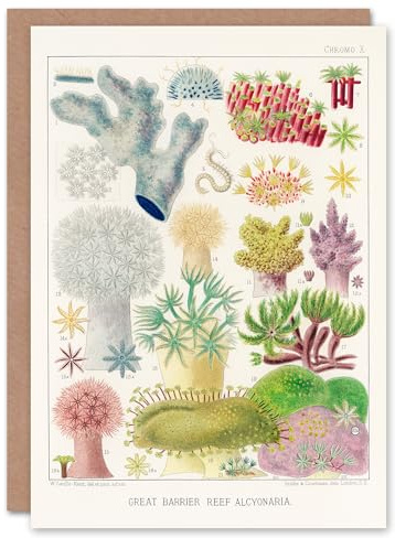 Artery8 William Saville Kent Art Card Great Barrier Reef Alcyonaria