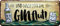 WOGEKA ART Retro Blechschild - Und nach mir die Ginflut Gin - witziger Spruch als Geschenk-Idee zum Geburtstag Weihnachten zur Dekoration 28x12 cm Vintage-Design aus Metall 1098
