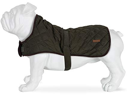 Regatta Odie Dog Jacket