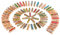 Mini Pince à Linge,Clips Photo en Bois 100 Pack Coloré Epingle pour l'artisanat Bricolage Décoration de Mariage Patry 7 * 35mm