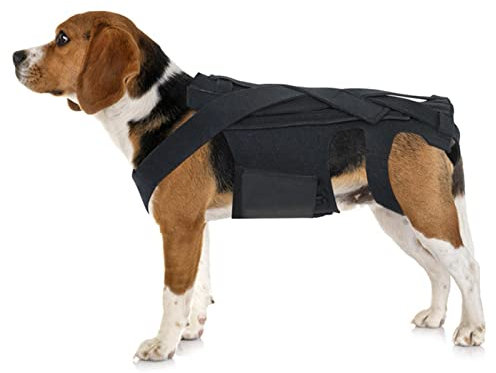 Atmungsaktive Rückenbandage für Hunde – atmungsaktive Haustier-Rückenbandage für IVDD, Haustier-Rückenbandage für IVDD, Rückenprotektor Znet-au