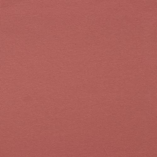 Hans-Textil-Shop Stoff Meterware Uni Jersey - 1 Meter, Schadstoffgeprüft, Jerseystoff, Deko, Kleidung, Shirts, Röcke, Leggings (Mauve)