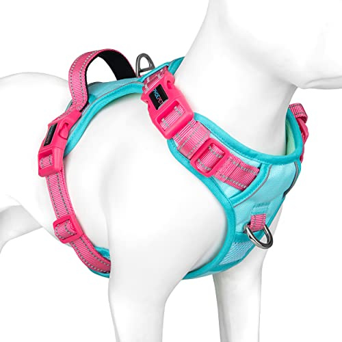 PHOEPET Dog Harness Large Dog, No Pull Vest with Handle, Reflective Strap | (Mint Green Base & Pink Straps,L),Easy to Wear & Fully Adjustable, 2 Metal Clips, Quick-Release Buckles,Breathable Padding