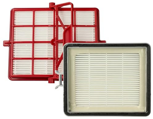vhbw 2x Staubsauger-Filter Filter Set kompatibel mit Lux AP11, Intelligence Series, S115 Staubsauger, Kombi- + HEPA-Filter