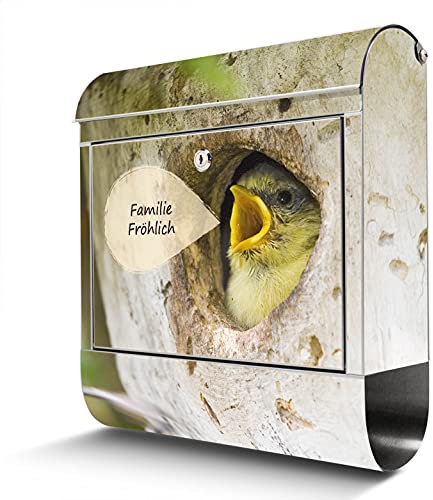 banjado® Briefkasten Edelstahl personalisiert mit Motiv Blaumeise 38x43x12cm & 2 Schlüssel - rostfreier Edelstahl Briefkasten mit Zeitungsfach - Postkasten A4 Einwurf inkl. Montagematerial