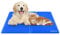 EONPOW Kühlmatte für Hunde 65x50cm,Kühlmatte für Katzen Ungiftiges Gel Selbstkühlendes Pad Kühlmatte Hund und Katzen Kühlpads