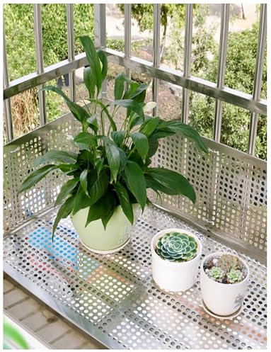 Paneles Redondos de Chapa Perforada de Acero Dulce, Placa de Malla metálica Perforada, Malla de Acero Inoxidable(40cm x 200cm)