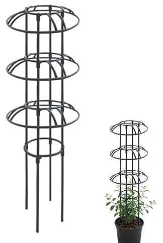 Generisch Tomatenkäfige – Robuste Metall-Gartenstütze – Ranken-Obelisk-Gitter – Für Eingetopfte Clematis, Blumen, Ranken Im Innen- Und Außenbereich