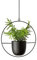 ARSBORUI Hängend Blumenampel Metall Blumentopf Schwarz Pflanzenampel Modern Deko Hängeblumentopf Hängeampel für Innen Außen Decken Balkone Wanddekoration (Rund)