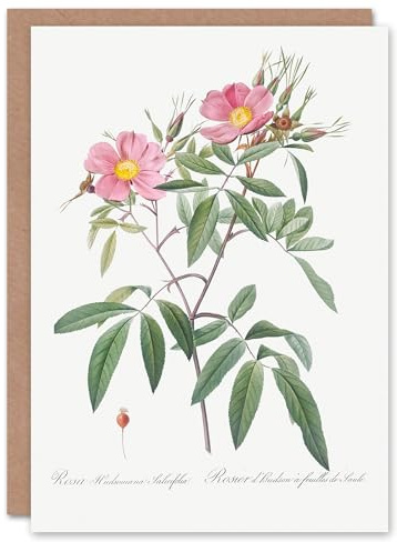 Artery8 Pierre-Joseph Redouté Art Card Hudson Swamp Rose Flowers