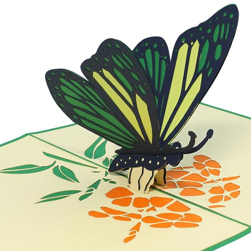 LINPOPUP®, LIN17657, Pop Up Karte Schmetterling, Pop Up Karte Geburtstag, Pop Up Geburtstagskarte, 3D Karten Natur, Geburtstagskarten, Muttertagskarten, Grußkarte Schmetterling, Grün, N383