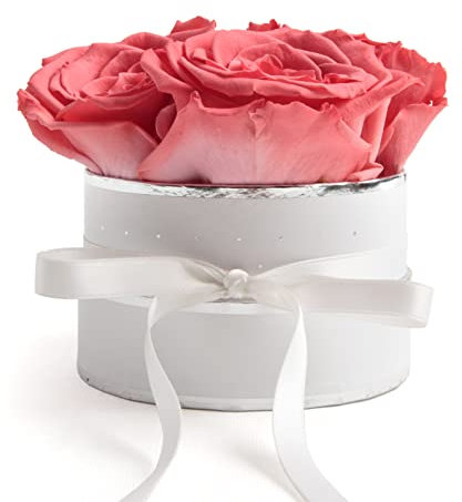 ROSEMARIE SCHULZ Heidelberg Rosenbox rund Infinity Rosen Korall-Rot - Blumenbox in Weiß 4 mal ewige Rose haltbar 3 Jahre - Geschenk für Mutter und Geschenke für Frauen (Small, Korall)