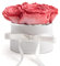 ROSEMARIE SCHULZ Heidelberg Rosenbox rund Infinity Rosen Korall-Rot - Blumenbox in Weiß 4 mal ewige Rose haltbar 3 Jahre - Geschenk für Mutter und Geschenke für Frauen (Small, Korall)