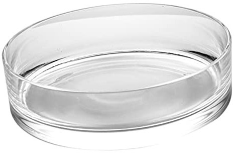 Blumenvase aus Glas Rund, Transparente Einzelvase für Pflanzen