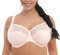 Elomi Women's Morgan Underwire Banded Stretch Lace Full Coverage Bra, Ballet Pink, 42 FF UK