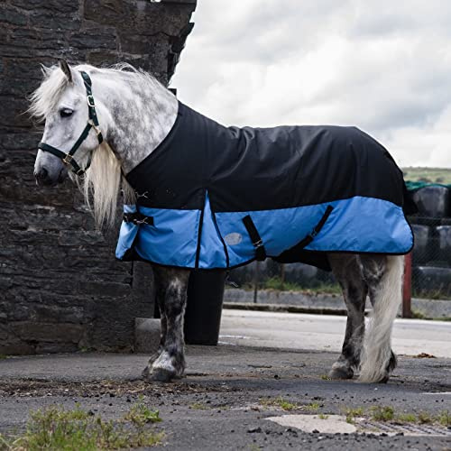 Equitack 1200D Winterdecke Pferdedecke, 165cm | 100g Regular Regendecke Pferd mit Fleece | wasserdichte Outdoordecke Pferd | Schwarz/Baby Blau