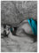 Wandtattoo Deko Fotosticker 50x70cm Marilyn Monroe mit ihrem Mund Nr. H3344