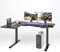 FLEXISPOT E1LB Gaming Tisch (160 x 100 cm) | Großer Ergonomischer Schreibtisch für Büro und Zuhause | höhenverstellbar mit 2 Motoren und 2-Fach Beine (Schwarz)