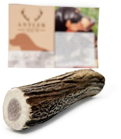 Antler Chew Antler Dog Chews Medium(71-90g, From 10cm) Sanded, Naturally Shed, Ideal Toys for Moderate Chewers, Supports Dental Health, Long-Lasting