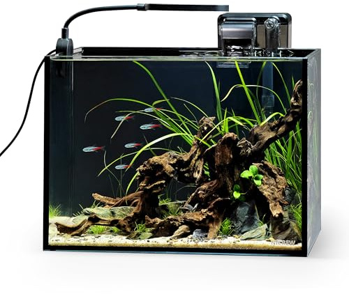 NICREW 2.5 Gallon Nano Nature Aquarium Kit, Ultra-Clear Rimless Desktop Fish Tank with Light and Filter, Perfect for Small Fish, Shrimp, or Betta, Basic Version, Black