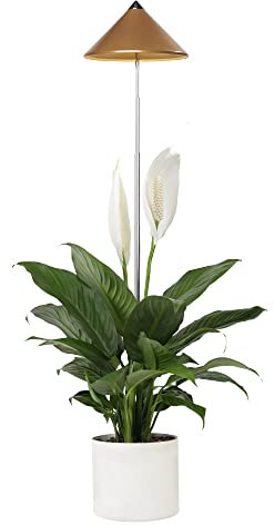 Parus by Venso SUNLiTE 7W LED Vollspektrum Pflanzenlampe kupfer, Indoor Plants Pflanzen Beleuchtung, mit ausziehbarem Teleskopstab, Parus Pflanzenlampe für kleine und mittelgroße Zimmerpflanzen
