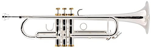 Lechgold TR-18S Bb-Trompete versilbert - Versilberte Trompete in Bb - Aus Messing - Schallbecher-Ø: 124 mm - Edelstahl-Ventile - ML-Bohrung: 11,68 mm - Inkl. Leichtkoffer