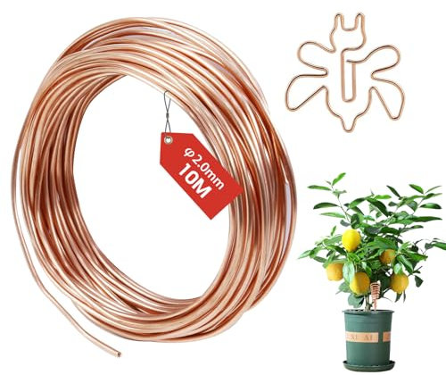FIFIBANG Filo di rame 2.0mmx 10m, T2 Filo Rame Non Smaltato, Filo Metallico per Bigiotteria, T2 a Filo di Rame Nudo per elettro cultura giardinaggio saldatura elettrica fai da te