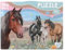 Depesche 13205 Miss Melody - Puzzle 100 Teile, mit detailliertem Pferde Motiv, ausgelegt ca. 58 x 40 cm, im Karton-Koffer mit Tragegriff