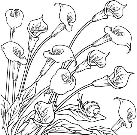 Honsell 12138 - Keilrahmen mit Calla Motiv, Format 30 x 30 cm, Vorgedrucktes Motiv zum Ausmalen mit Acryl-, Aquarell- und Ölfarben und Filz- und Farbstifte