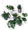 bellissa FILO Pflanzen Hängeregal Komplett Set 3 - schwebendes Gartenregal für Töpfe mit Blumen & Pflanzen - Hängendes Regal für Balkon - Outdoor - Innen