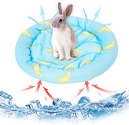 Kleintiere Kühlmatte Bett Kaninchen Hamster Kühlkissen Sommer EIS Seide Schlafbett für kleine Haustiere Welpe Meerschweinchen Hamster Kaninchen Hamster Katze (Blue)