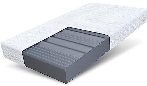 FDM Comfort Plus Schaumstoffmatratze 100x200 cm Höhe 10 cm 7-Liegezonen Matratze Kaltschaum H3 Öko-Tex Allergikergeeignet Bezug Waschbar Abnehmbar Weiß