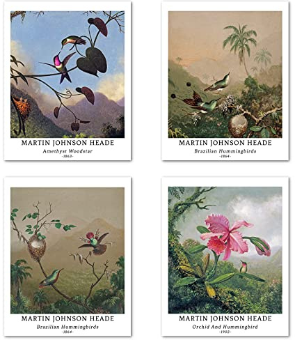 Kunstdruck Ungerahmt Klassischer Vogel Bilder Set von 4, Poster Größe: 20x25 cm Premium Kunstpapier Wanddeko Ästhetische Blumen Retro Kolibri Passenden Jugendzimmer Deko Martin Johnson Heade Painting