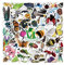 Hrippy Insekten Schmetterling Aufkleber 50pcs Niedliche Cartoon Insekten Tiere Aufkleber Wasserdichtes Ästhetisches Sammelalbum Für Kinder Teen Erwachsener
