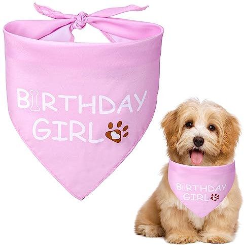Dog Birthday Bandana Birthday Girl Dog Birthday Supplies for Small Medium Dog Pet