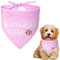 Dog Birthday Bandana Birthday Girl Dog Birthday Supplies for Small Medium Dog Pet
