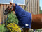 AMKA Pferde Fleece Halsdecke Halsteil Neck Cover dunkelblau Gr. Warmblut