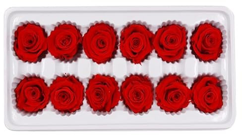Abaodam Bomboniere Matrimonio 1 Scatola Fiori Conservati Per San Fiore Regalo Di San Veri Fiori Di Rose Fiori Mai Appassiti Rose Vere Stabilizzate Capolini Di Rosa Immortale Fai Da Te
