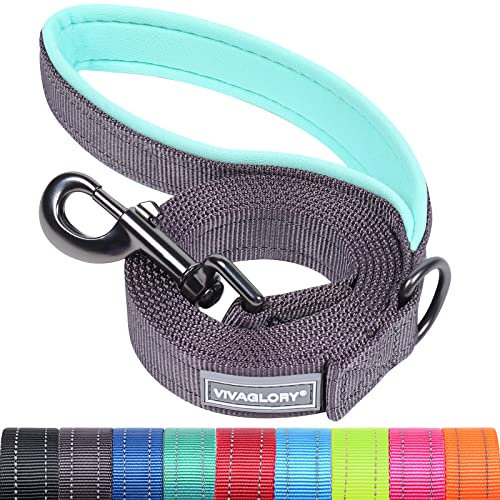 VIVAGLORY Dailyx Dog Lead, Dog Leash for Training & Walking with Soft Padded Handle, Heavy Duty & Double Layer Nylon for Pet Puppy, 120 x 2.5cm, Grey