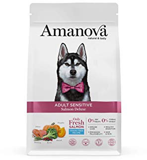 Amanova Super Premium 100% natürliches trockenes Hundefutter für Erwachsene - 10 kg - Frischer Lachs - Getreidefrei - Hypoallergen - Grausamkeitsfrei
