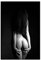 HONGC Schwarzweiss-Bilder Nackte Frau, die auf Leinwand Nordische Moderne Plakate und Drucke Wandkunst Wohnzimmerdekoration 60x80cm / 23,6 x 31,4 ohne Rahmen Malt