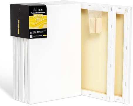 Elan Toile Peinture 20x30 380 g, Lot de 6 Toiles à Peindre 100% Coton, 380 GSM Canvas Painting 20x30, Toile à Peindre, Chassis Entoilé, Canvas 30x20