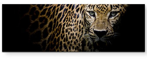 Paul Sinus Art Leinwandbilder | Bilder Leinwand 120x40cm Portrait Leopard