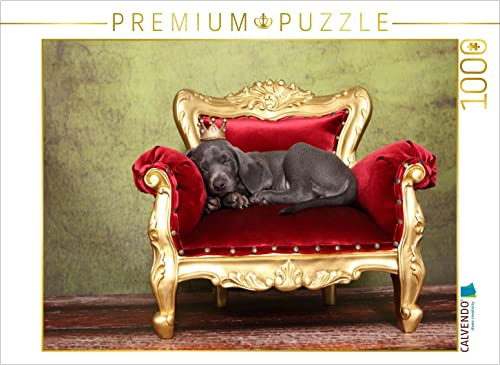 CALVENDO Puzzle Weimaraner Welpe/Weimaraner Puppy | 1000 Teile Lege-Größe 64 x 48 cm Foto-Puzzle für glückliche Stunden