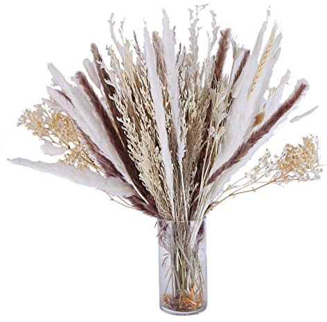 104 Stück Pampasgras Getrocknet Deko, 43cm Kleines Reed Blumenstrauß Flauschige Trockenblumenstrauß Natürliche Hasenschwanzgras Pampasgras Deko für Blumenarrangement Wohnzimmer Küchen Hochzeitsdeko