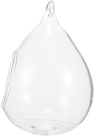 FUNOMOCYA Terrarium Mural en Verre À Suspendre Globe pour Plantes Aériennes Décoration Dintérieur Jardinière Compacte Et Facile À Utiliser