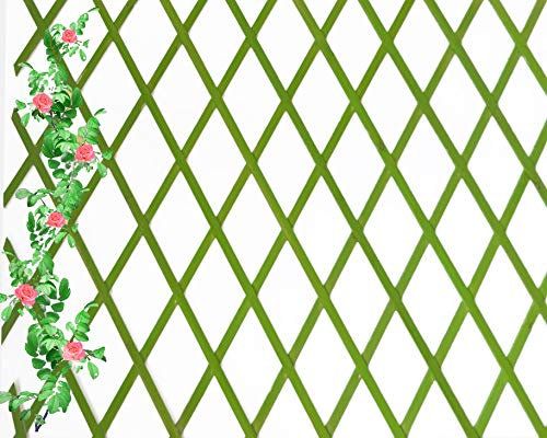 Celosia Extensible de Madera Natural de 1x2 Metros Color (Verde)