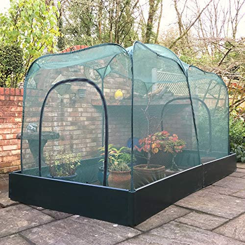 Allotmenteer Giant Raised Vegetable Bed & Garden Fruit Cage Plant Cover Kit - 2.5 x 1.25 x 1.6m H