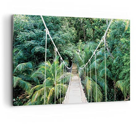 Bilder auf Leinwand 100x70cm Leinwandbild Tropen Dschungel Brücke Groß Wanddeko Bild Schlafzimmer Küche Deko Wandbilder Dekoration Wohnzimmer Wall Decor Canvas Wand Kunstdruck Art AA100x70-4963
